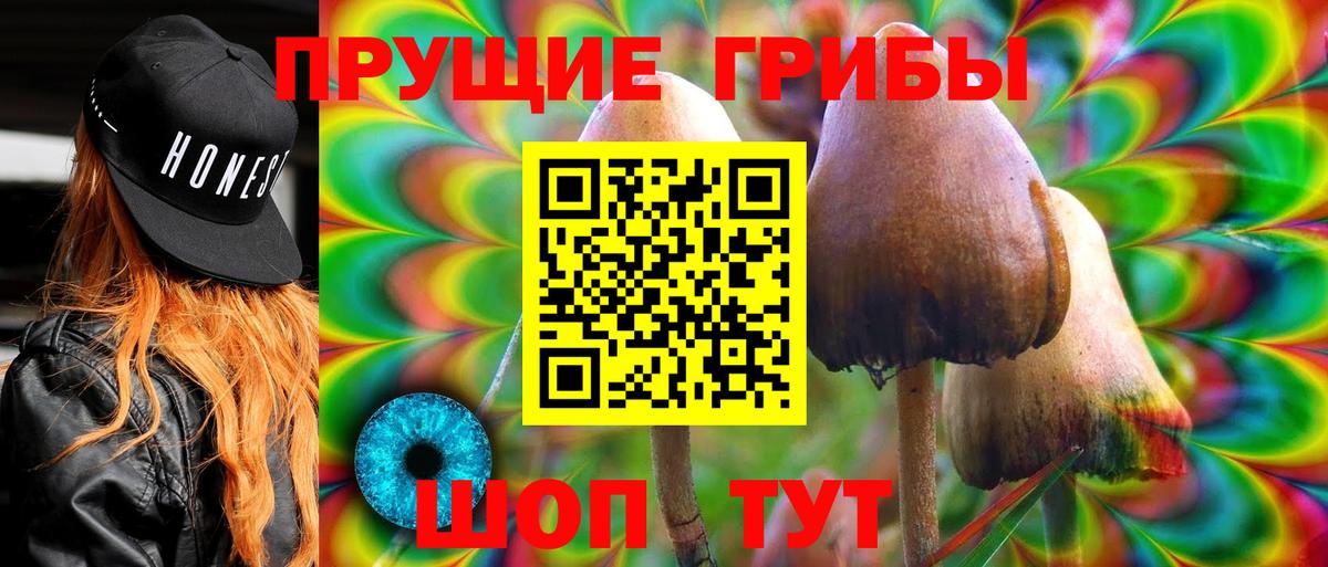 даркнет сайт  Вход с VPN  Похвистнево  Псилоцибиновые грибы GOLDEN TEACHER 